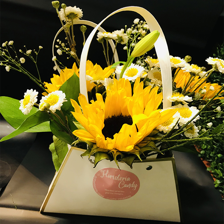 Girasol