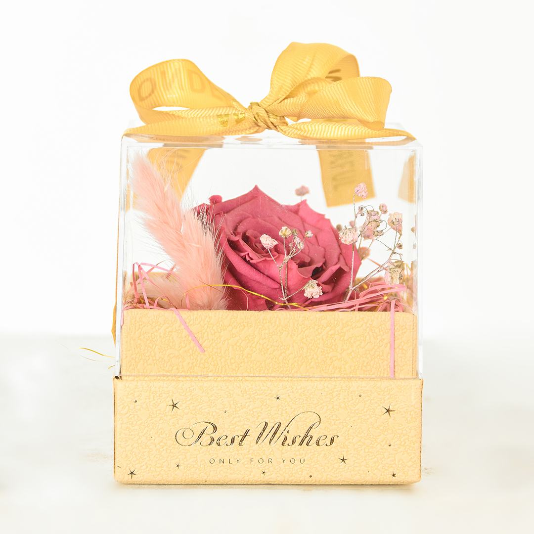 Rosas preservada caja acrilica